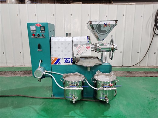 Máquina prensadora de aceite de semillas de sésamo aceite de semillas de sésamo japonés en Panamá