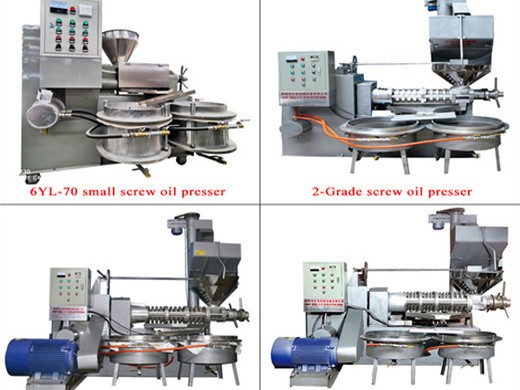 Máquina prensadora de aceite de semilla negra fría y caliente alta tasa de extracción en Panamá