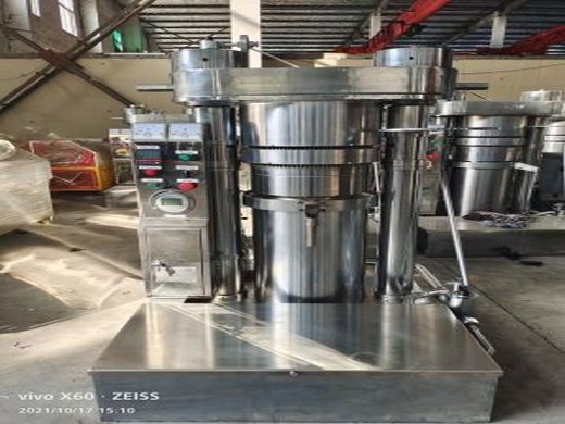 Máquina prensadora de aceite automática de acero inoxidable 110v en frío en Nicaragua