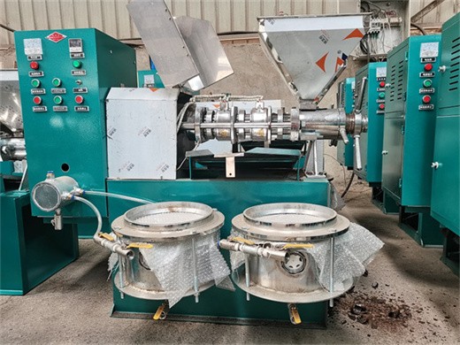 Máquina prensadora de aceite de semilla de chía de Ecuador/expeledor de aceite de coco