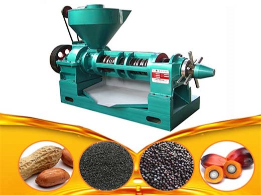 Máquina prensadora de aceite de sésamo de soja de buena calidad y trabajo estable en Venezuela
