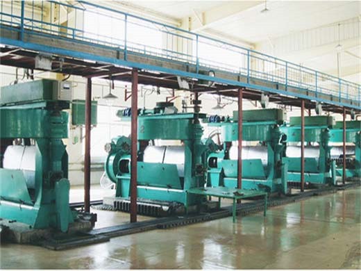 Máquina prensadora de aceite 130 para semillas de china