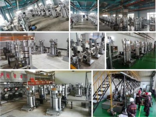 Prensa de aceite de semilla de tung hecha en China – extractor de aceite de China