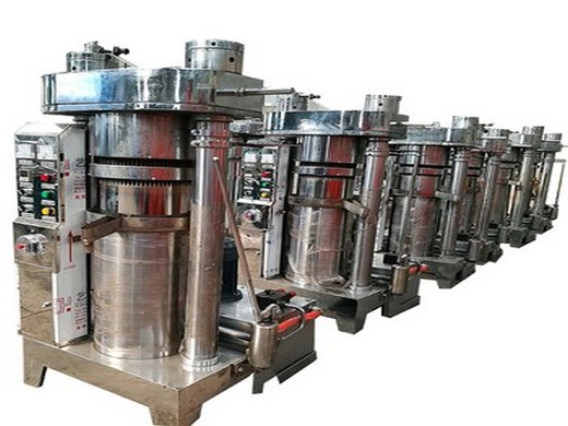 fabricamos máquina expulsora automática de aceite para girasol en Cuba