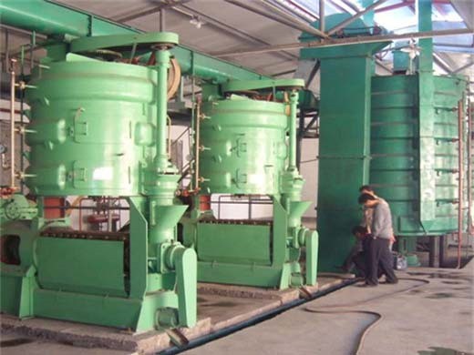 Máquina de extracción de aceite de sésamo para hacer aceite de canola en Bolivia