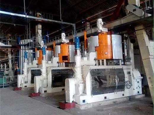 Pequeño equipo eléctrico de prensa de aceite aceite de nuez hidráulico en Venezuela