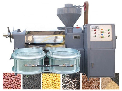 Máquina de extracción de aceite de semilla de sésamo de alta eficiencia en Panamá