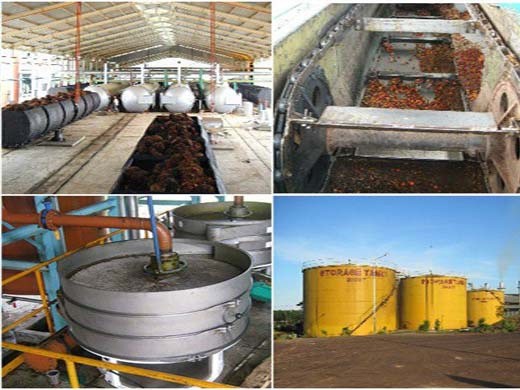 Gran planta de aceite de palma máquina de producción de aceite de palma palma en Venezuela