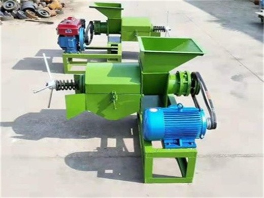 Máquina de extracción de aceite de semilla de palma diseño de ingeniero chino