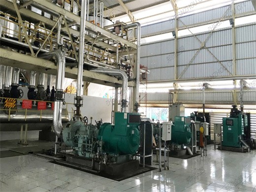 Estación de separación de nueces fábrica de máquinas prensadoras de aceite de palma en Argentina