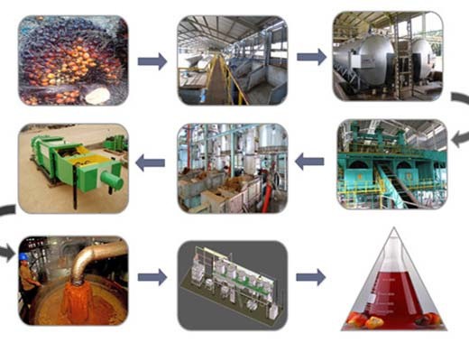 producción de aceite de palma – máquina de extracción de aceite de palma