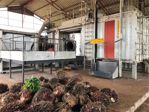 Máquina extractora o prensadora de palma aceitera en Nicaragua
