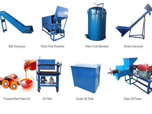 Fabricación directa del fabricante del proceso del molino de la máquina de prensa de aceite de palma