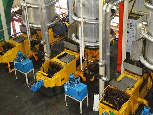 Máquina de extracción de aceite de maní y palmiste 6yl-120 en Honduras