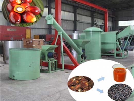Máquina de extracción de aceite de palmiste de alta eficiencia/palma en El Salvador