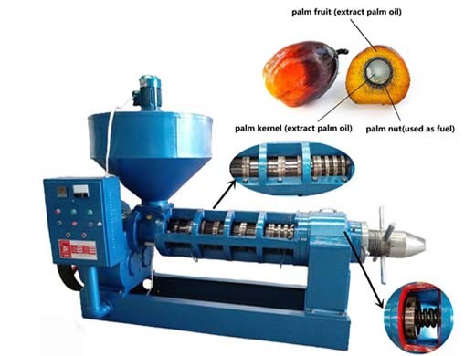 Gran oferta 2024 máquina automática de prensado de aceite de palma combinada 6yl 130