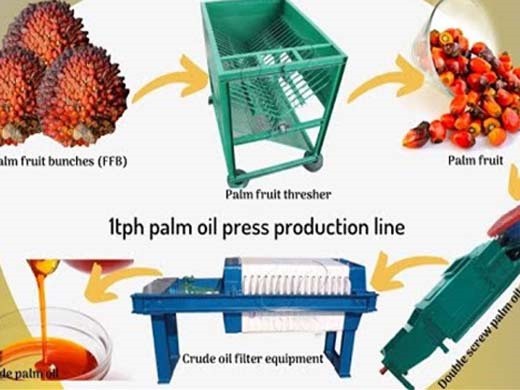 Máquina procesadora de aceite de palmiste prensado en frío/palmiste en Cuba