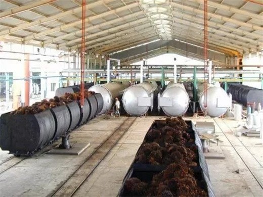 Producción de aceite de palma y nuez de palmiste en Venezuela