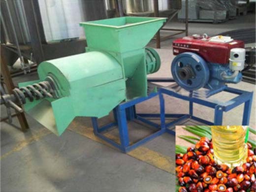 mecanizar la producción de máquinas prensadoras de aceite de palma en El Salvador costo de la palma