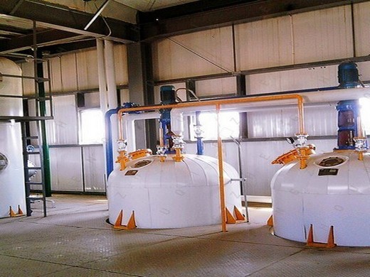 Línea de producción de aceite de girasol de cártamo – centra Foods en Nicaragua