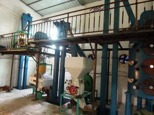 Fabricación automática de línea de máquinas de extracción de aceite de carne de coco