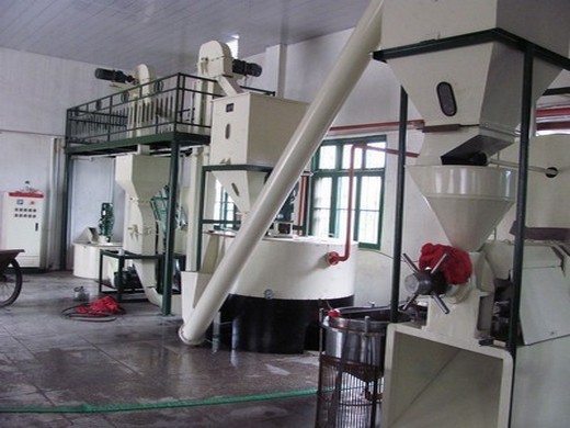 Línea de procesamiento de aceite de salvado de arroz-maquinaria de prensa de aceite en España