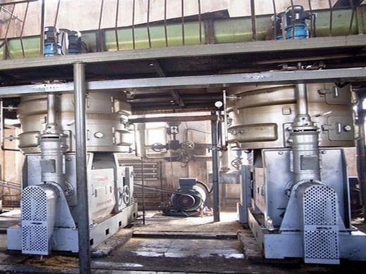 Cómo configurar una planta procesadora de aceite de ricino para uso comercial en México