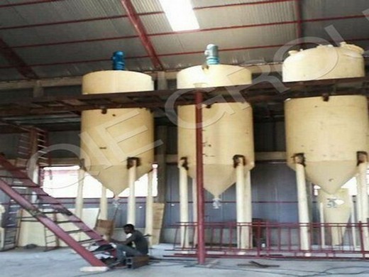 Planta de molienda de aceite de coco de 200 tpd de prensa de aceite de fábrica en Paraguay