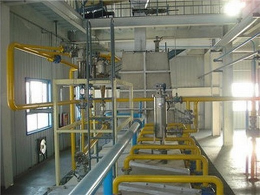 Equipo de prensa de aceite de nuez para la línea de producción de prensado en Colombia