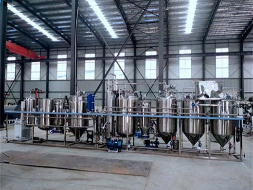 Máquina de refinería de aceite de cocina para prensar camelia de semilla de lino en México